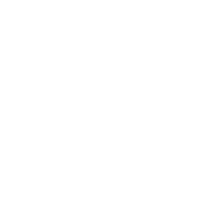 Professional Wordpress Theme and Website Development